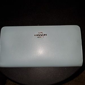 COACH Skinny Wallet in Mist/Silver